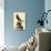 Pigeon Hawk-John James Audubon-Giclee Print displayed on a wall