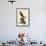 Pigeon Hawk-John James Audubon-Framed Giclee Print displayed on a wall