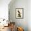 Pigeon Hawk-John James Audubon-Framed Giclee Print displayed on a wall