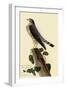 Pigeon Hawk-John James Audubon-Framed Giclee Print