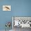 Pigeon Hawk-Mark Catesby-Art Print displayed on a wall