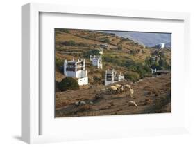 Pigeon House Near Tarabados, Tinos, Cyclades, Greek Islands, Greece, Europe-Tuul-Framed Photographic Print