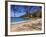 Pigeon Island National Park, St. Lucia, Caribbean-Kymri Wilt-Framed Photographic Print