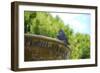 Pigeon on Sausalito Fountain, Marin County, California-Anna Miller-Framed Photographic Print