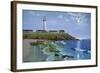 Pigeon Point, CA-Eduardo Camoes-Framed Giclee Print