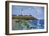 Pigeon Point, CA-Eduardo Camoes-Framed Giclee Print