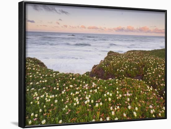 Pigeon Point, Cabrillo Highway 1, California, Usa-Rainer Mirau-Framed Photographic Print