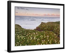 Pigeon Point, Cabrillo Highway 1, California, Usa-Rainer Mirau-Framed Photographic Print