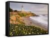 Pigeon Point Lighthouse, Cabrillo Highway 1, California, Usa-Rainer Mirau-Framed Stretched Canvas