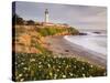 Pigeon Point Lighthouse, Cabrillo Highway 1, California, Usa-Rainer Mirau-Stretched Canvas