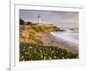 Pigeon Point Lighthouse, Cabrillo Highway 1, California, Usa-Rainer Mirau-Framed Photographic Print