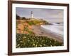 Pigeon Point Lighthouse, Cabrillo Highway 1, California, Usa-Rainer Mirau-Framed Photographic Print