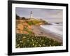 Pigeon Point Lighthouse, Cabrillo Highway 1, California, Usa-Rainer Mirau-Framed Photographic Print