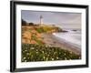 Pigeon Point Lighthouse, Cabrillo Highway 1, California, Usa-Rainer Mirau-Framed Photographic Print