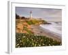Pigeon Point Lighthouse, Cabrillo Highway 1, California, Usa-Rainer Mirau-Framed Photographic Print