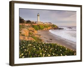 Pigeon Point Lighthouse, Cabrillo Highway 1, California, Usa-Rainer Mirau-Framed Photographic Print