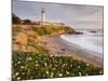 Pigeon Point Lighthouse, Cabrillo Highway 1, California, Usa-Rainer Mirau-Mounted Photographic Print