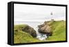 Pigeon Point Lighthouse, California, USA: The Lighthouse On A Cloudy Day-Axel Brunst-Framed Stretched Canvas