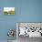 Pigeon Point Lighthouse, California, USA: The Lighthouse On A Cloudy Day-Axel Brunst-Photographic Print displayed on a wall