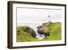 Pigeon Point Lighthouse, California, USA: The Lighthouse On A Cloudy Day-Axel Brunst-Framed Photographic Print