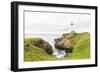 Pigeon Point Lighthouse, California, USA: The Lighthouse On A Cloudy Day-Axel Brunst-Framed Photographic Print