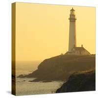 Pigeon Point Lighthouse, Santa Cruz Coast, California, USA-Tom Norring-Stretched Canvas