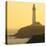 Pigeon Point Lighthouse, Santa Cruz Coast, California, USA-Tom Norring-Stretched Canvas