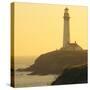 Pigeon Point Lighthouse, Santa Cruz Coast, California, USA-Tom Norring-Stretched Canvas