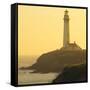 Pigeon Point Lighthouse, Santa Cruz Coast, California, USA-Tom Norring-Framed Stretched Canvas