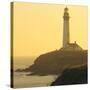 Pigeon Point Lighthouse, Santa Cruz Coast, California, USA-Tom Norring-Stretched Canvas