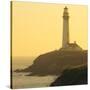 Pigeon Point Lighthouse, Santa Cruz Coast, California, USA-Tom Norring-Stretched Canvas