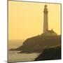 Pigeon Point Lighthouse, Santa Cruz Coast, California, USA-Tom Norring-Mounted Photographic Print