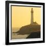 Pigeon Point Lighthouse, Santa Cruz Coast, California, USA-Tom Norring-Framed Photographic Print