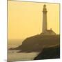 Pigeon Point Lighthouse, Santa Cruz Coast, California, USA-Tom Norring-Mounted Photographic Print