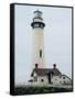 Pigeon Point Lighthouse-Rachel Perry-Framed Stretched Canvas