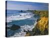 Pigeon Point Lighthouse-James Randklev-Stretched Canvas