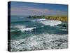 Pigeon Point Lighthouse-James Randklev-Stretched Canvas