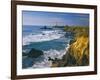 Pigeon Point Lighthouse-James Randklev-Framed Photographic Print