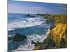 Pigeon Point Lighthouse-James Randklev-Mounted Photographic Print