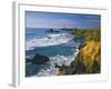 Pigeon Point Lighthouse-James Randklev-Framed Photographic Print