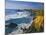 Pigeon Point Lighthouse-James Randklev-Mounted Photographic Print