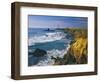 Pigeon Point Lighthouse-James Randklev-Framed Photographic Print