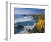 Pigeon Point Lighthouse-James Randklev-Framed Photographic Print