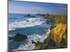 Pigeon Point Lighthouse-James Randklev-Mounted Photographic Print