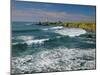 Pigeon Point Lighthouse-James Randklev-Mounted Photographic Print