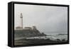 Pigeon Point Lighthouse-David Knowlton-Framed Stretched Canvas