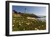 Pigeon Point Spring Vista, California-George Oze-Framed Photographic Print