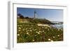 Pigeon Point Spring Vista, California-George Oze-Framed Photographic Print