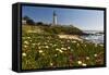 Pigeon Point Spring Vista, California-George Oze-Framed Stretched Canvas