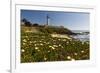 Pigeon Point Spring Vista, California-George Oze-Framed Photographic Print